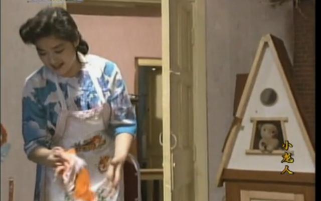 平凡的世界1990版电视剧（1989年电视剧平凡的世界）(23)