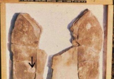 西瓜的含水量是多少