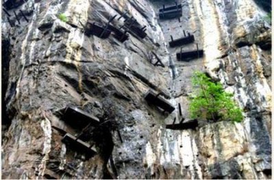 蜈蚣为什么怕鸡鸡为什么不怕蜈蚣的毒