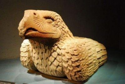 鹿角蕨类植物怎么养?