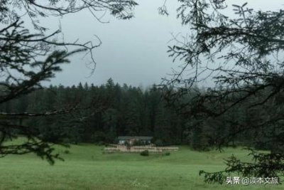 长江白鲟灭绝的