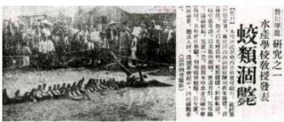 地球上最大的蜈蚣:加拉帕格斯巨人蜈蚣可达44到46厘米转换