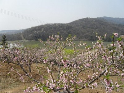 安徽森林公园肥东浮槎山——江北小九华，环巢湖名山