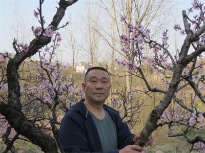 ​斯文扫街