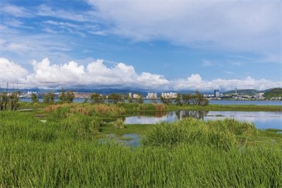 ​旅途见闻—云南（大理-洱海月湿地公园）