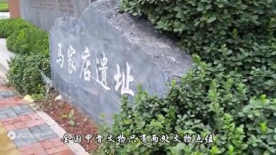 ​天津马家店遗址，中国最初发现甲骨文的地方，可惜被拆除盖...