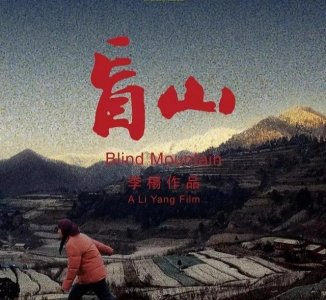 ​豆瓣8.5《盲山》：大山的盲，人心的盲，法制的盲