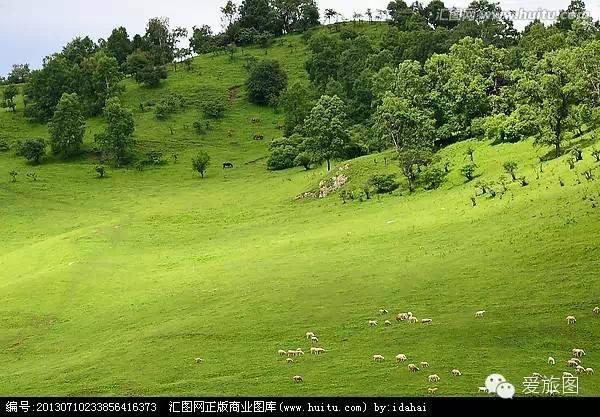 5.1旅游攻略关山牧场（走约起一起去关山牧场）(9)