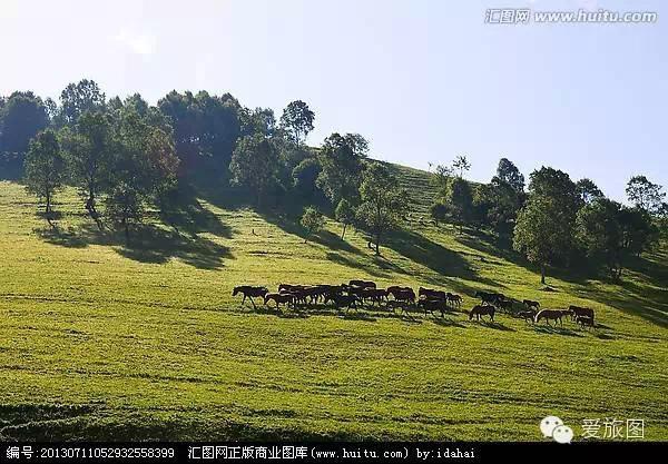 5.1旅游攻略关山牧场（走约起一起去关山牧场）(11)