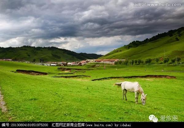 5.1旅游攻略关山牧场（走约起一起去关山牧场）(8)