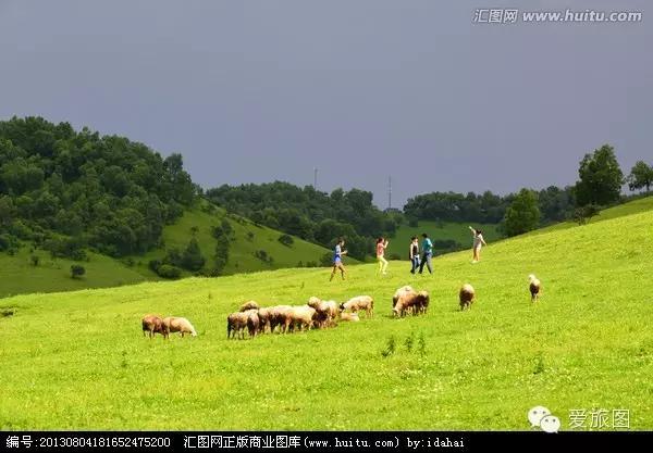 5.1旅游攻略关山牧场（走约起一起去关山牧场）(10)