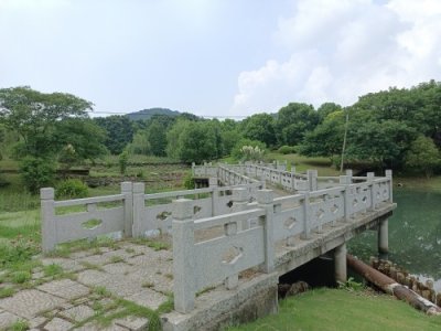 ​闲游无锡十八湾湿地公园