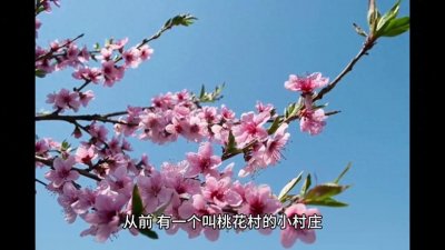 ​民间故事：桃花村的传说