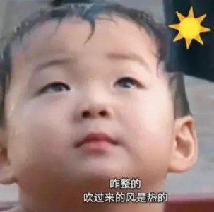 搞笑的表情包天气太热了