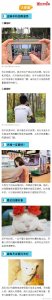 18个超实用手机摄影技巧