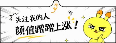 寻找靠谱姻缘:这五大相亲平台值得尝试