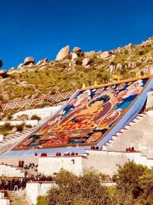 一起来了解一下藏族有什么节