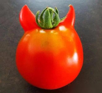 25种大自然中的奇异发现:充满了不可思议的奇迹和壮丽的景观。