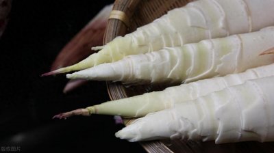 ​春日盛宴：10大春季美食让你品味舌尖上的春天！