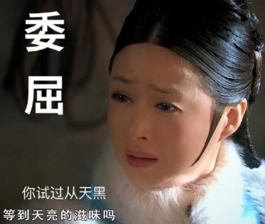 甄嬛传孙俪经典(甄嬛传开播十年孙俪蒋欣当红)(8)