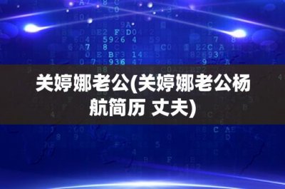 ​关婷娜老公(关婷娜老公杨航简历 丈夫)