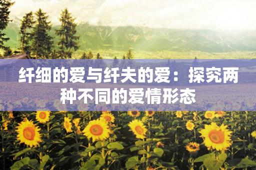 纤细的爱与纤夫的爱:探究两种不同的爱情形态 纤细的爱与纤夫的爱:探究两种不同的爱情形态