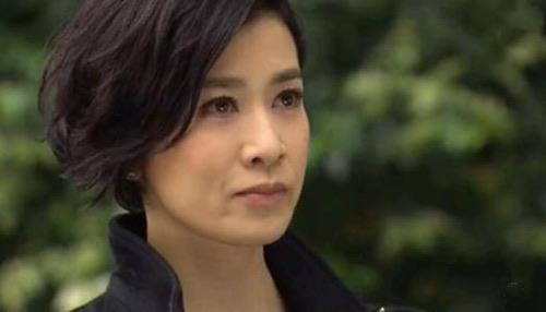 影视《使徒行者3》的五个卧底分别是谁 1