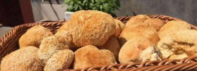 猴头菇变黄了还能吃,干猴头菇变褐色还能吃吗