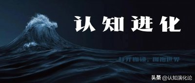​《自卑与超越》中的100个金句