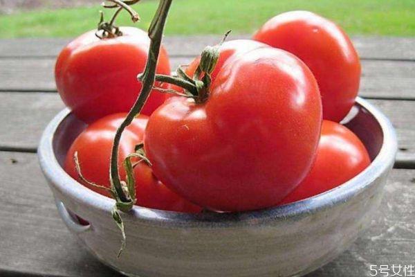 吃西红柿可以美白吗 吃西红柿有美白的效果吗
