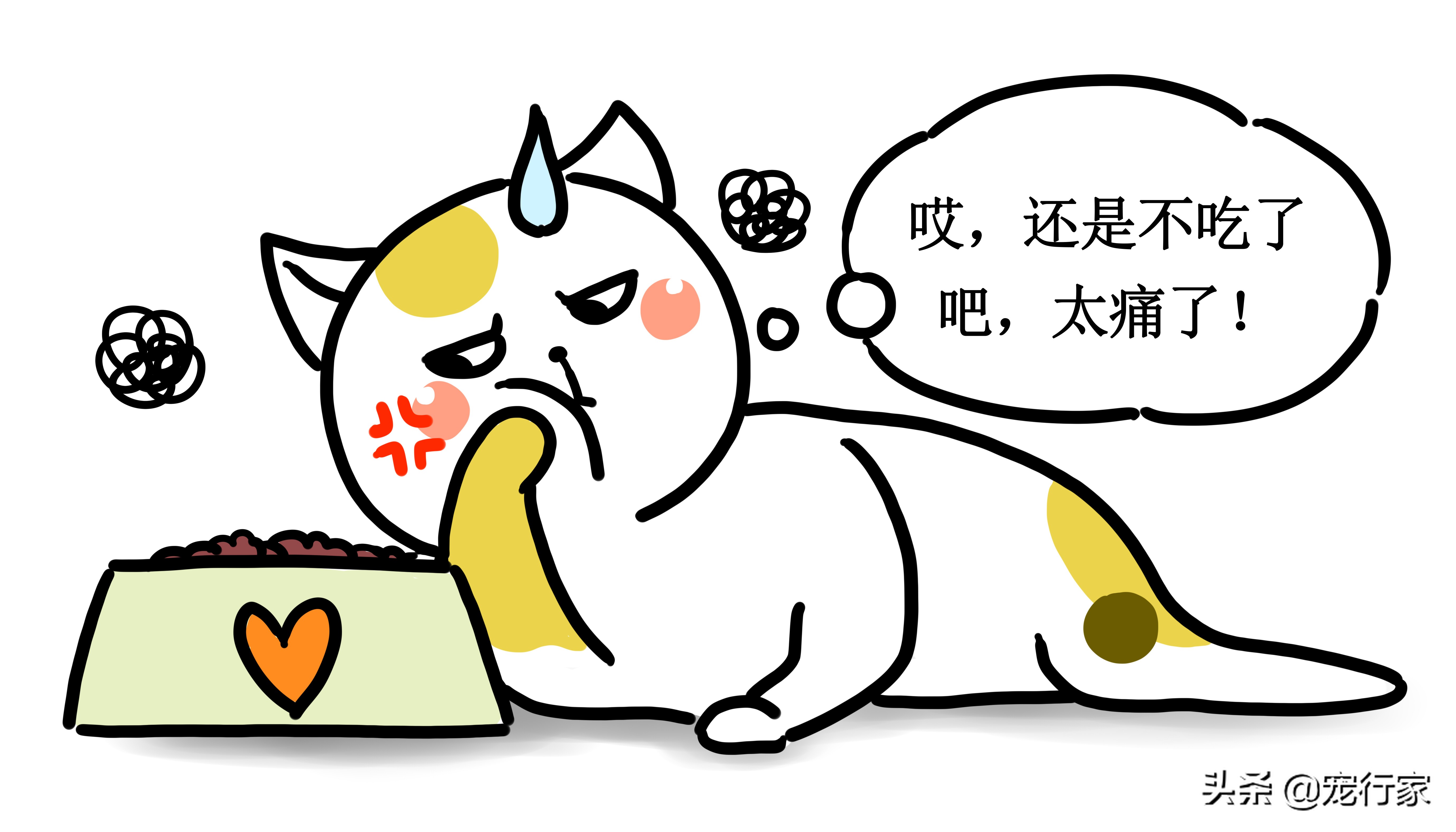 猫不吃不喝能活几天（猫不吃东西的背后原因）