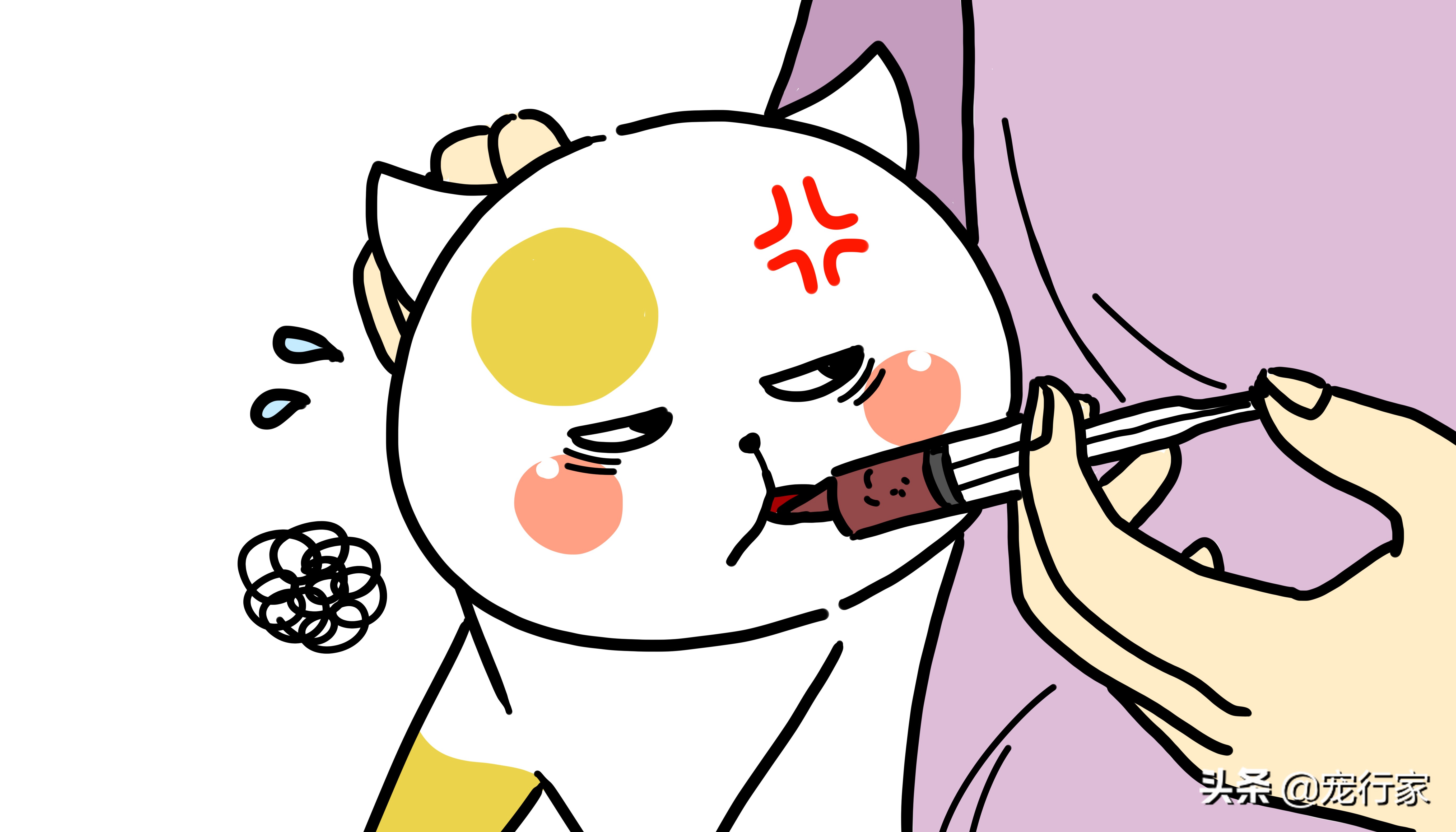 猫不吃不喝能活几天（猫不吃东西的背后原因）