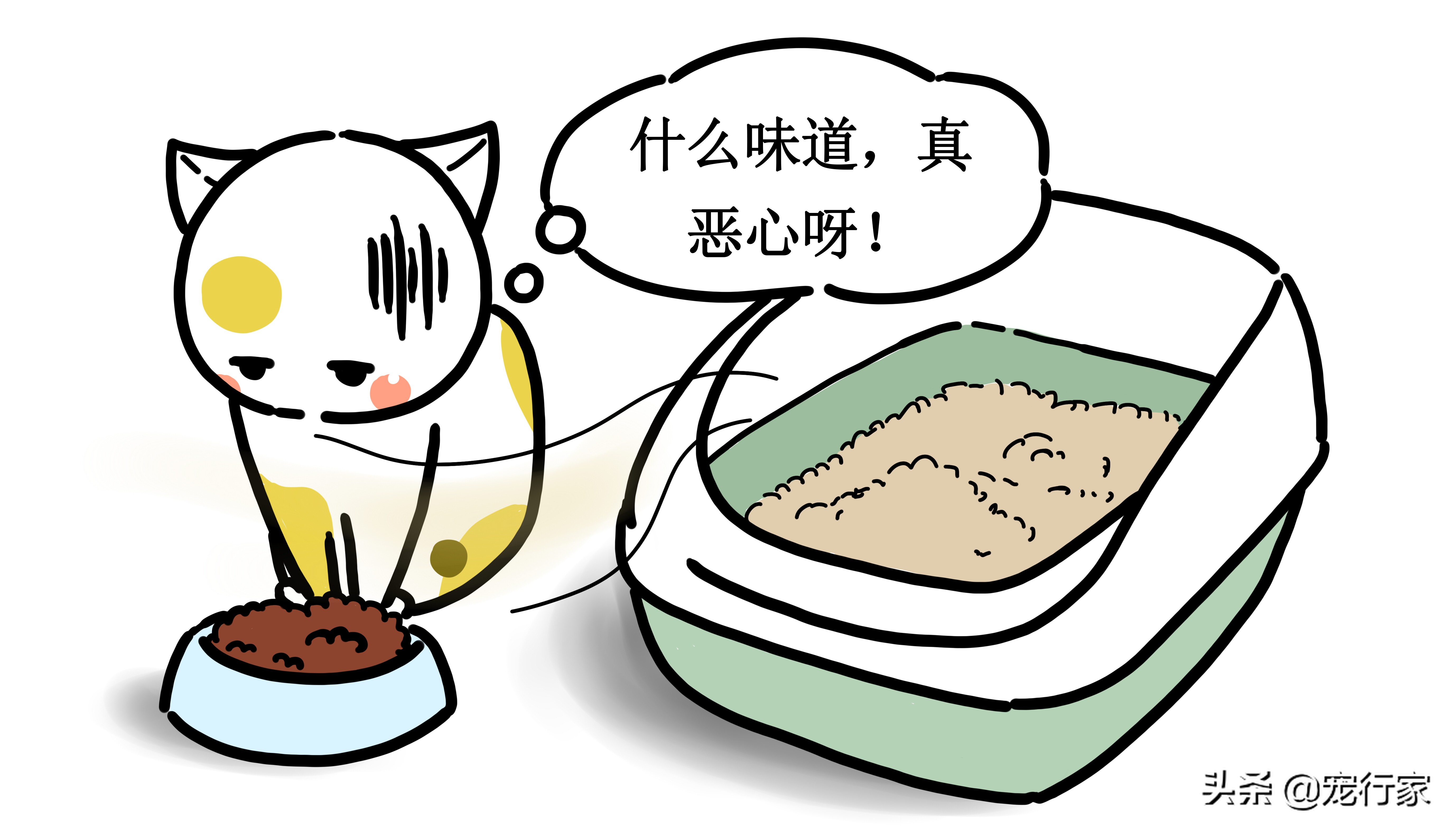 猫不吃不喝能活几天（猫不吃东西的背后原因）