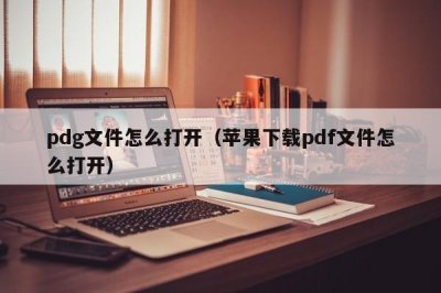 ​pdg文件怎么打开（苹果下载pdf文件怎么打开）