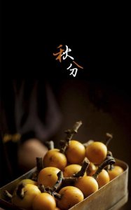 ​秋分节气的主要特点是什么，秋分气的含义是什么？