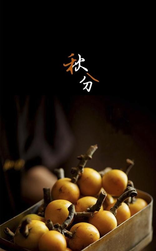 秋分气的含义是什么