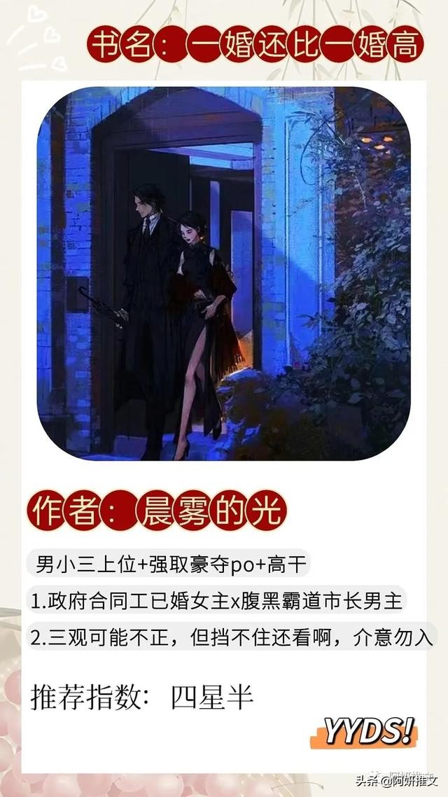 双男主推荐高干文（一婚还比一婚高by晨雾的光）(1)