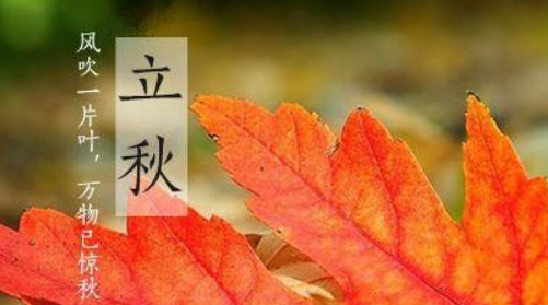 早立秋与晚立秋的区别,早立秋和晚立秋的区别是什么图2