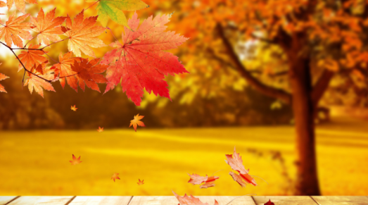 早立秋与晚立秋的区别,早立秋和晚立秋的区别是什么图4