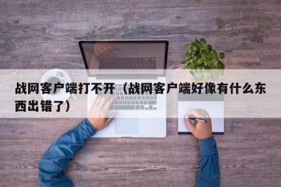 ​战网客户端打不开（战网客户端好像有什么东西出错了）