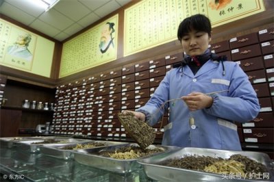 ​喝牛蒡茶有什么好处和坏处（牛蒡茶可以减肥吗）