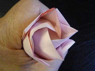 ​玫瑰花折纸(玫瑰花折纸教程图片)