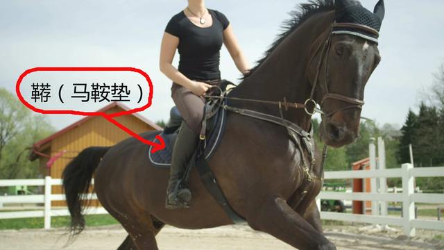 字源网汉字起源（存字本义及其衍生字）(4)