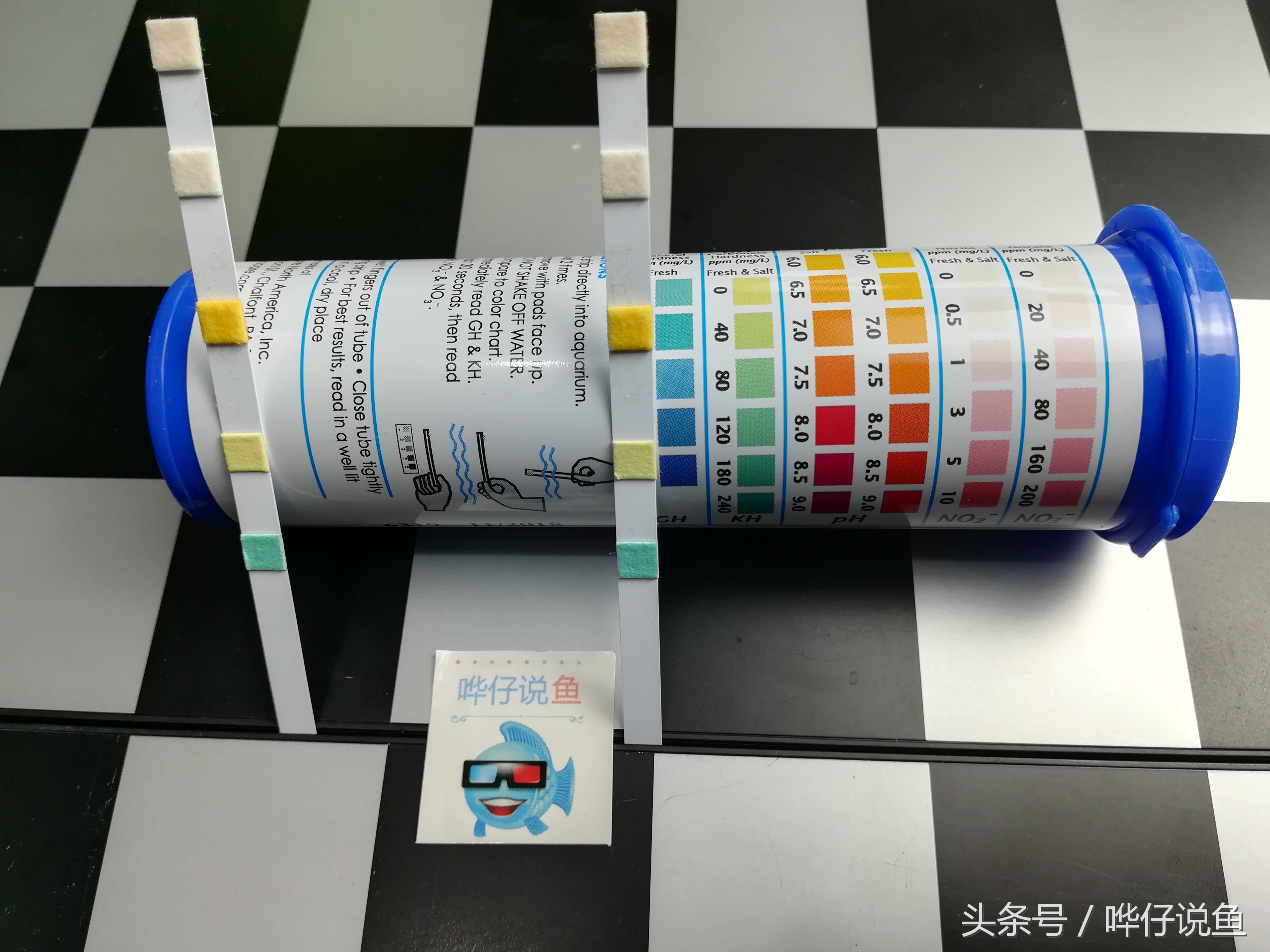 怎么确认硝化菌成功了（宠物鱼新手最大的困惑）