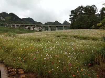​三十里花海 百度网盘(三十里花海合集 百度云)