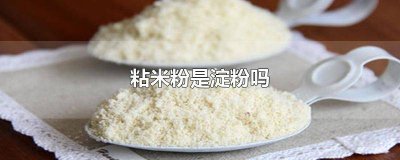 ​粘米粉和淀粉一样吗 粘米粉和淀粉的区别