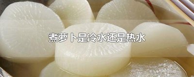 ​煮萝卜是冷水还是热水