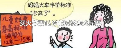 ​买火车票12岁1米6该怎么买票
