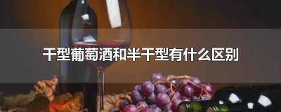 ​干型葡萄酒和半干型有什么区别