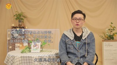 ​火烈鸟象征什么